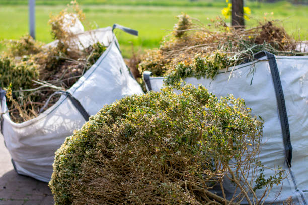 Best Demolition Debris Removal  in Victory Lakes, NJ